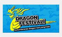 Teksan Generator, Energiesponsor des Dragon-Festivals
